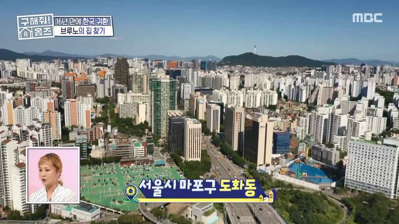서울시 마포구 도화동